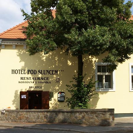 Třebíz Hotel Pod Sluncem מראה חיצוני תמונה