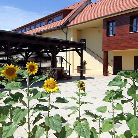Třebíz Hotel Pod Sluncem מראה חיצוני תמונה